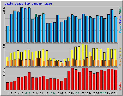 Daily usage for January 2024