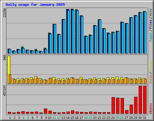 Daily usage for January 2025