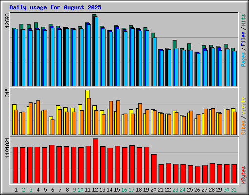 Daily usage for August 2025