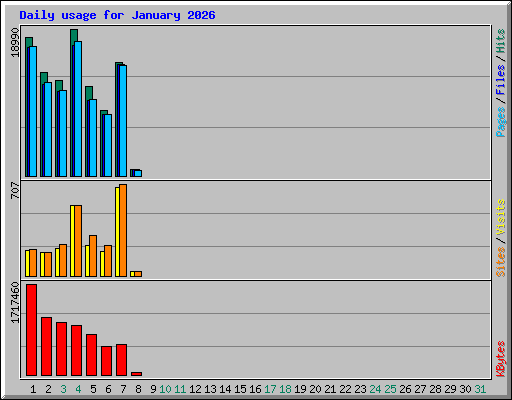 Daily usage for January 2026
