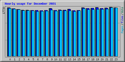 Hourly usage for December 2021