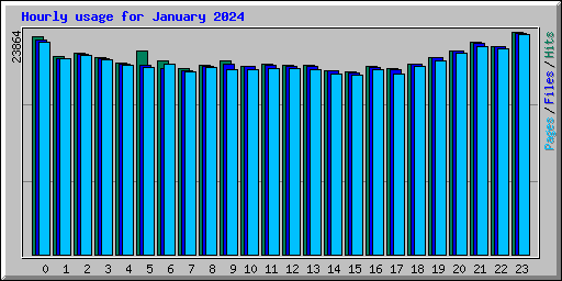 Hourly usage for January 2024