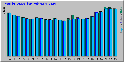 Hourly usage for February 2024