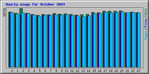 Hourly usage for October 2024