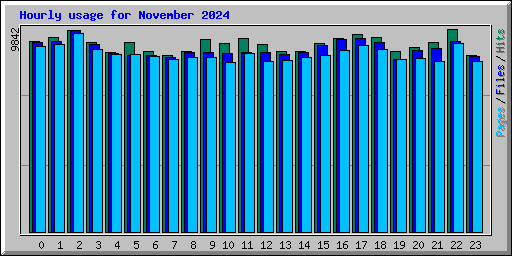 Hourly usage for November 2024