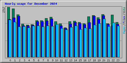 Hourly usage for December 2024