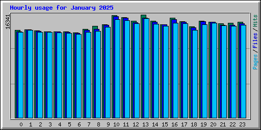 Hourly usage for January 2025