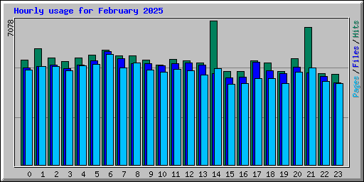 Hourly usage for February 2025
