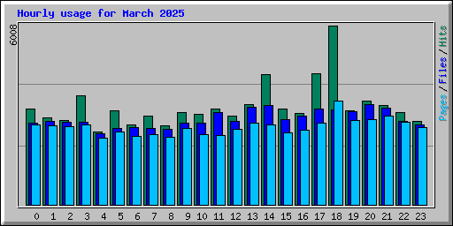 Hourly usage for March 2025