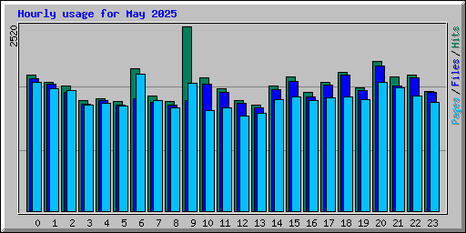 Hourly usage for May 2025