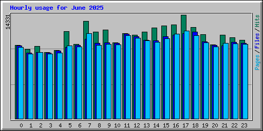 Hourly usage for June 2025