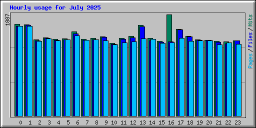 Hourly usage for July 2025