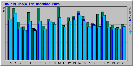 Hourly usage for December 2025