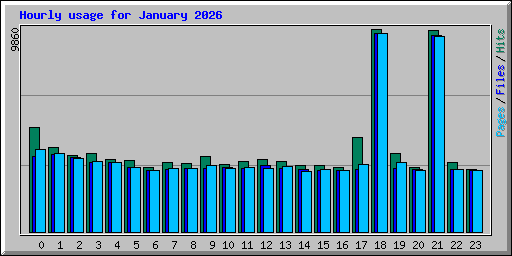 Hourly usage for January 2026